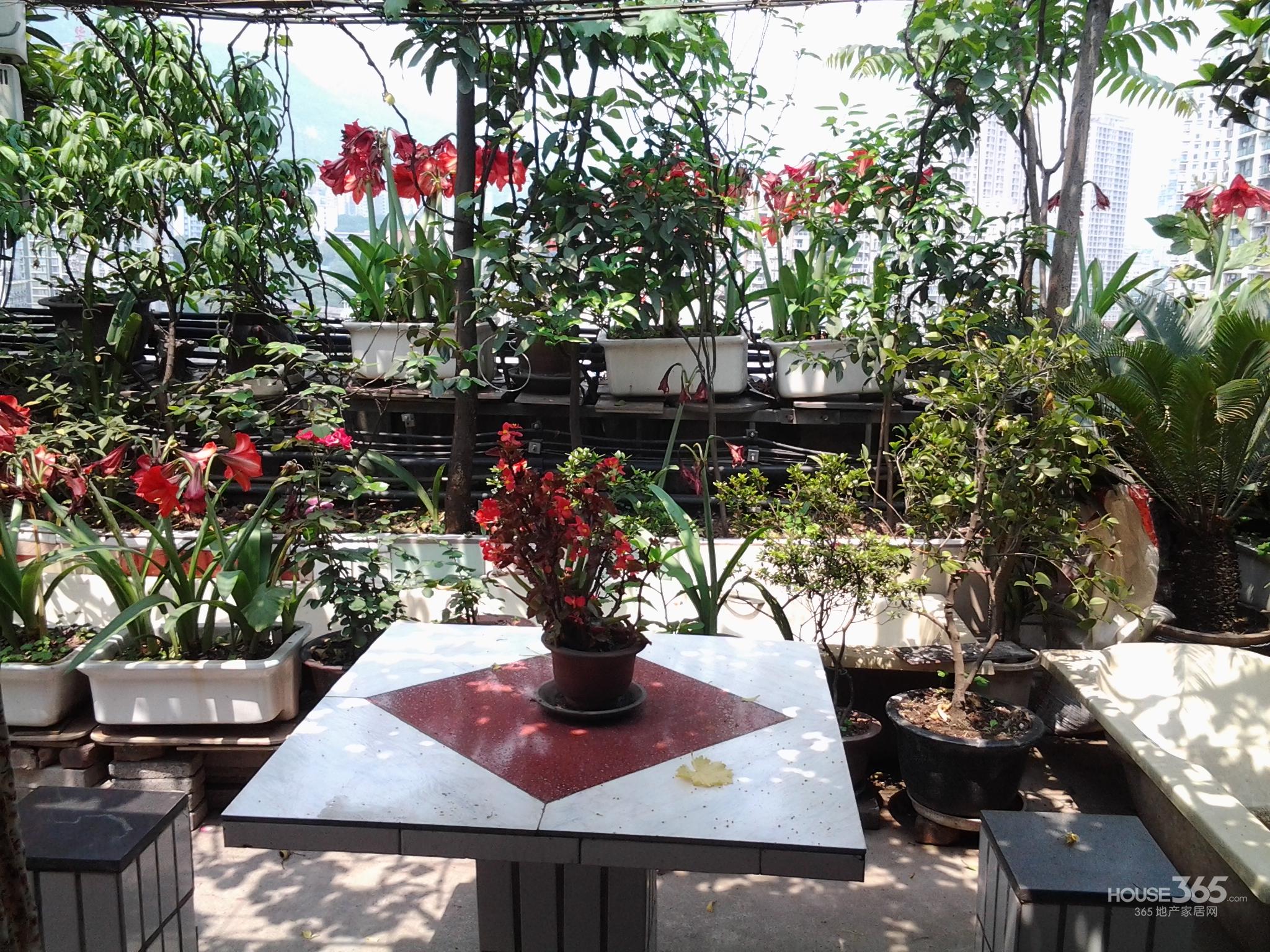 该房户型三室带屋顶花园,花园面积超过40平米,种植有桂花,黄桷兰,杜鹃、玫瑰、腊梅等美丽花草;葡萄,琵琶、樱桃等水果每年皆能品尝、采摘,拥有北京四合院的韵味。配有基础的家具、电器。简单装修,可以基本满足你的日常起居,且交通便利,距离地铁站仅5分钟,距离公交车站3分钟,距离高速路口仅5分钟路程;比邻学校(附近有重庆68中学、重庆大学、西南政法大学、四川外语学院等),无污染影响;附近有重百、大中、泰豪等大中型超市,距离菜市场也仅10分钟左右路程。最优地理位置,通风采光俱佳,远离噪音潮湿困扰!希望我的房子能给你