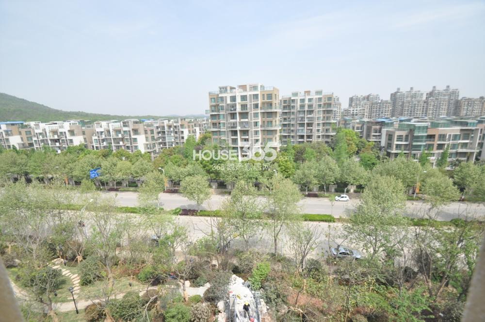 紫园北面200米天泓山庄实景图(5.2)
